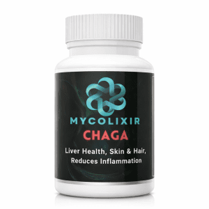 Chaga mushroom capsules immune support supplement