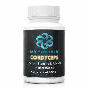 Cordyceps mushroom capsules energy supplement