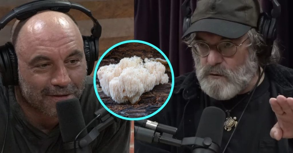 Joe Rogan Experience #1385 - Paul Stamets