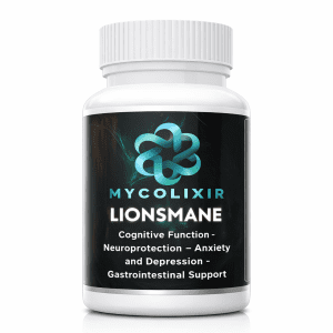 Lion’s Mane mushroom capsules brain support supplement